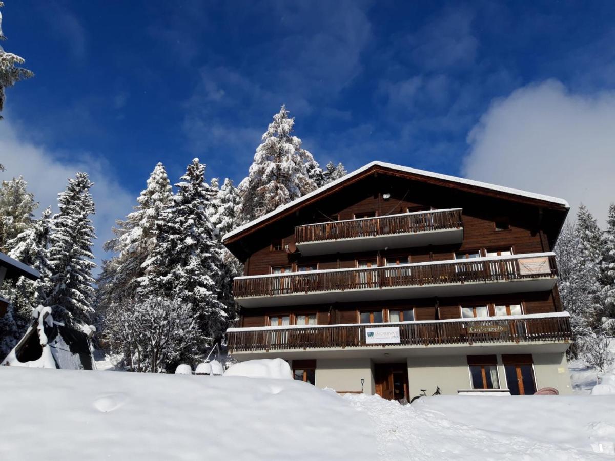 Laerchenwald Lodge بلوالد المظهر الخارجي الصورة