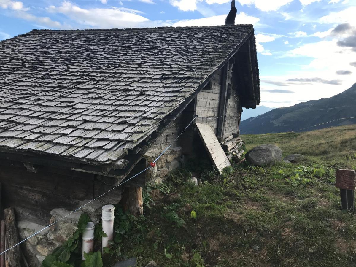Laerchenwald Lodge بلوالد المظهر الخارجي الصورة