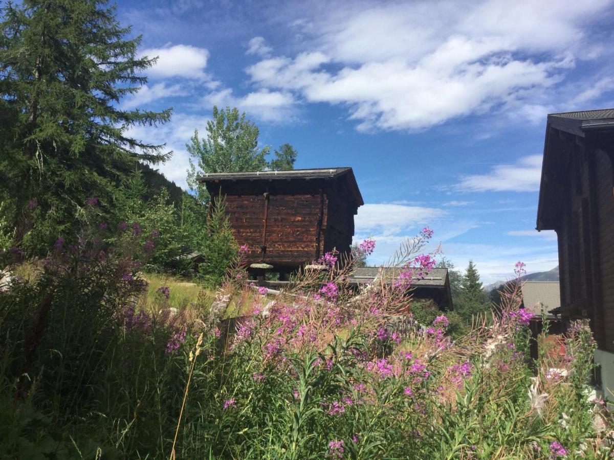 Laerchenwald Lodge بلوالد المظهر الخارجي الصورة