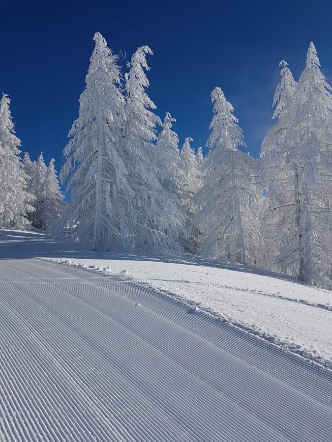 Laerchenwald Lodge بلوالد المظهر الخارجي الصورة