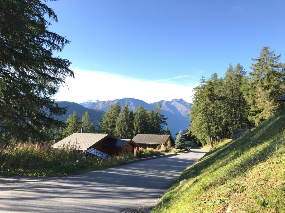 Laerchenwald Lodge بلوالد المظهر الخارجي الصورة